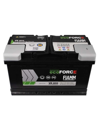 Автомобільний акумулятор FIAMM Ecoforce AGM 80Аh 800А R+ (правий +)