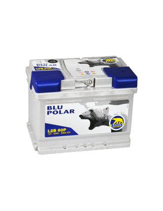 Автомобільний акумулятор BAREN Blu polar 60Аh 600А R+ (правий +)